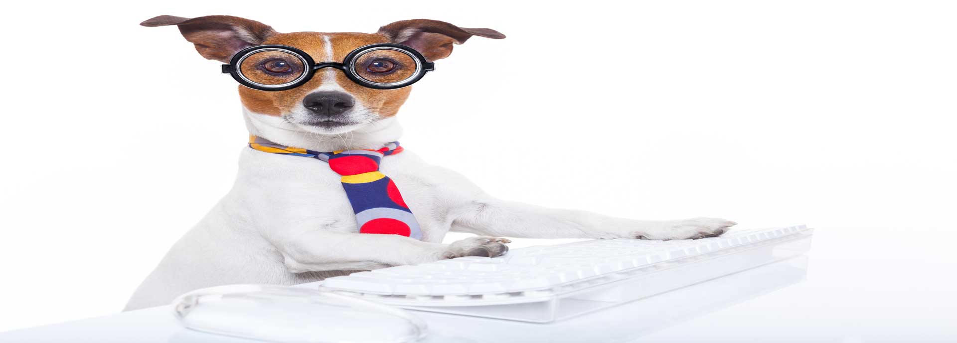 Affinity Pet Hospital