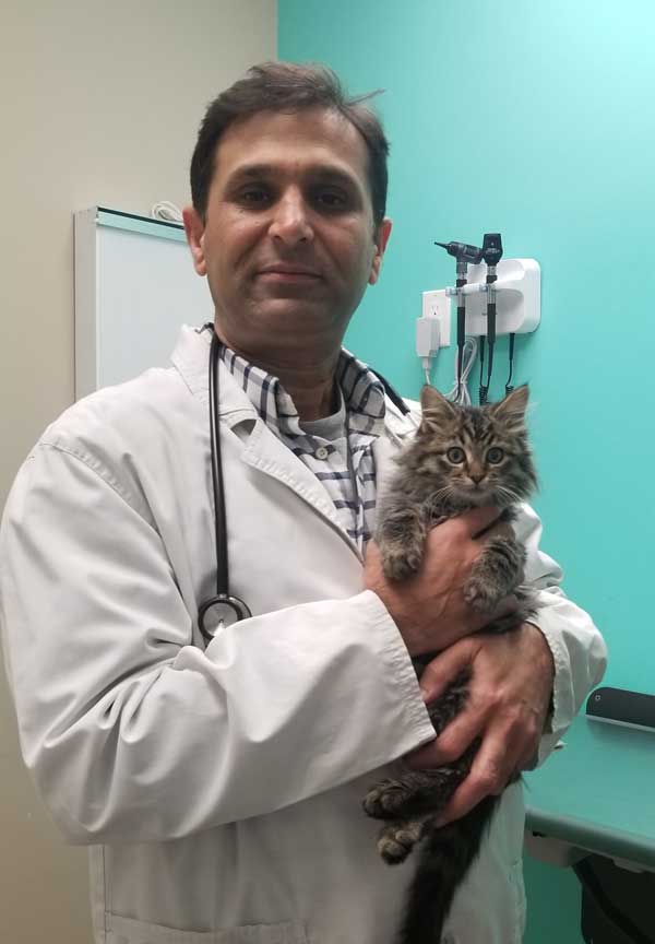 Pet Dr. Bajwa