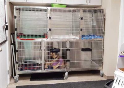 Kennels recovery area