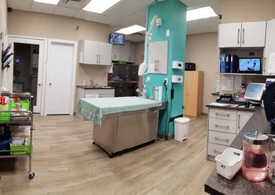 Treatment area view 1