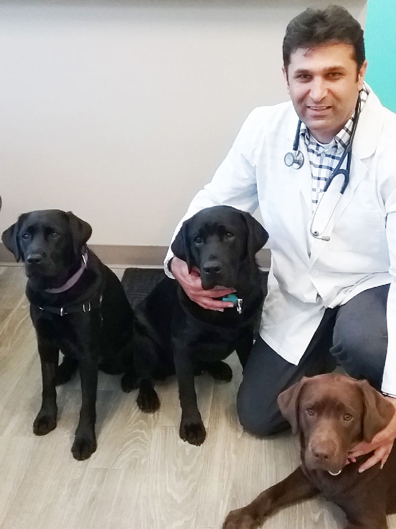 Dr. Bajwa