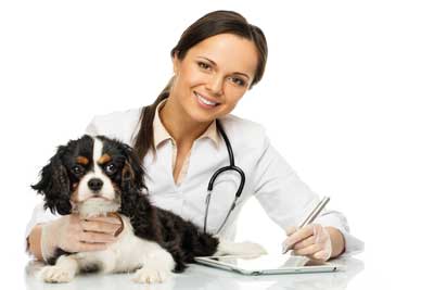 Martensville Vet